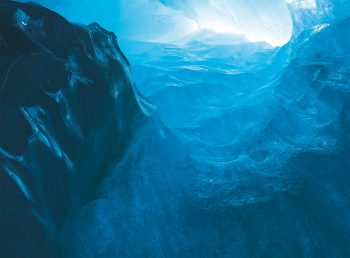 Rencontrer le tardigrade sur la glace, c'est possible ! Les tardigrades à la conquête pacifique du monde