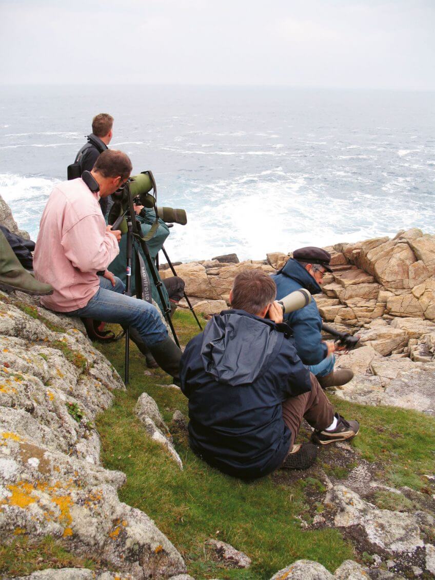 Séance de « seawatching » au pied du Creac’h. Les amateurs d’oiseaux guettent les migrateurs qui passent au large.