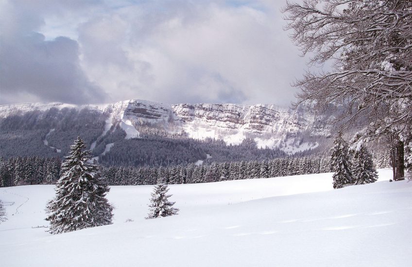 Promenade sur l'alpage du Mont d'Or
