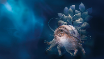 Tanarctus bubulubus a été découvert par des Danois en 1989 au large des îles Féroé. Cet extraordinaire tardigrade des profondeurs est équipé de ballons adhésifs et
gonflables.