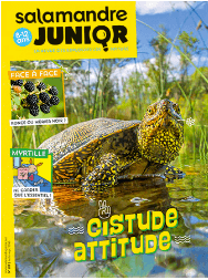 Salamandre Junior août-septembre 2016