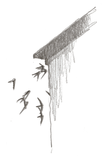 Cent jours de martinets