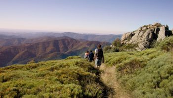 Des nuances infinies de vert s'offrent au promeneur qui descend des Rochers de Trenze jusqu'à Génolhac. 