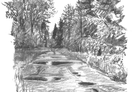 « Surveiller, dessiner pour occuper l’attente, pour le souvenir. Dessiner aussi pour avoir déjà le décor si un animal venait à passer. La forêt mixte de Bialowieza, en Pologne, évoque nos forêts de plaine. Alors, quand paraît le lynx exclu de nos rêves, il faut se pincer pour y croire. Il nous tourne le dos et son pas, rapide sans en avoir l’air, l’emmène au bout de l’allée, imprimant pour longtemps son image feutrée sur nos rétines. » / © Jean Chevallier