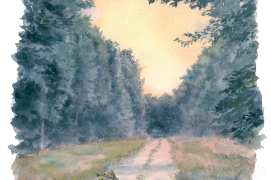 « Tous les affûts ne sont pas gagnants. Au point de se demander si la forêt est vraiment habitée… Heureusement que les chevreuils et les renards sont là pour sauver la mise. » / © Jean Chevallier