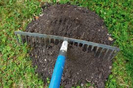 Choisissez de préférence les taupinières les plus grosses de votre jardin. Egalisez la butte avec votre main ou à l’aide d'un râteau.