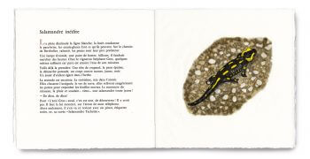 Fac-similé du livre de gravure "Impressions" : Salamandre tachetée / © Pierre Baumgart (gravure), Blaise Hofmann (texte)