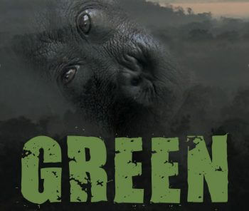 Green Les Verts auraient-ils oublié la nature ?