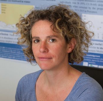 Hélène Labach Pourquoi si peu de dauphins observés?