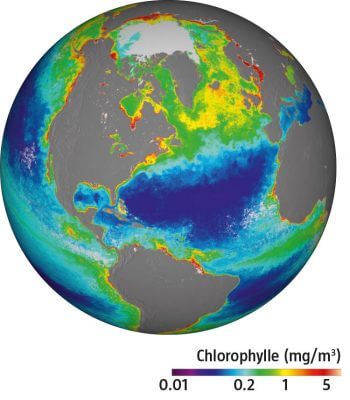 La couleur verte dans les océans mesurée d'après une image satellite. Un satellite suit la répartition de la chlorophylle sur Terre