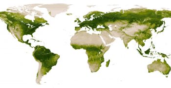 La couleur verte sur terre d'après le satellite Suomi NPP