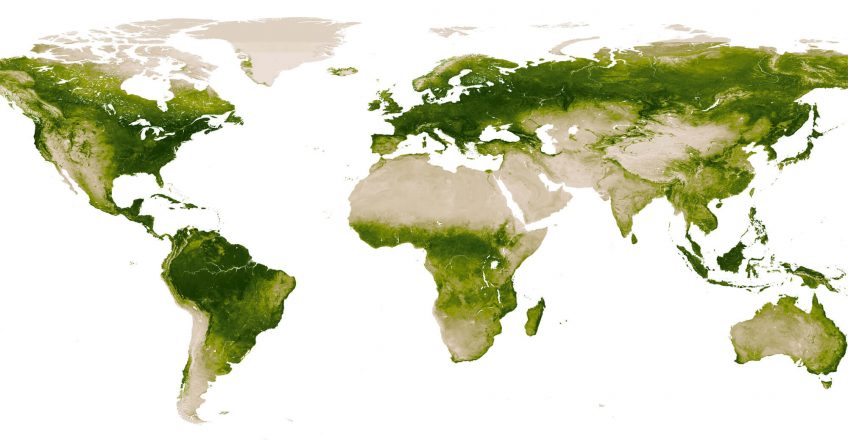 Un satellite suit la répartition de la chlorophylle sur Terre