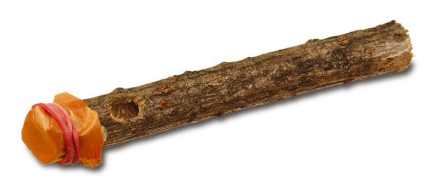 kazoo en sureau Fabriquez un lance-patates et un kazoo avec des branches de sureau