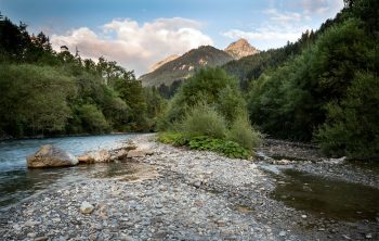 Située dans la Sarine près de Château-d’Oex, l’île des Ouges bénéficie d’un statut de protection depuis 1989. Située dans la Sarine près de Château-d’Oex, l’île des Ouges bénéficie d’un statut de protection depuis 1989.