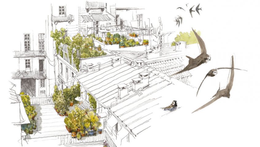 Cent jours de martinets