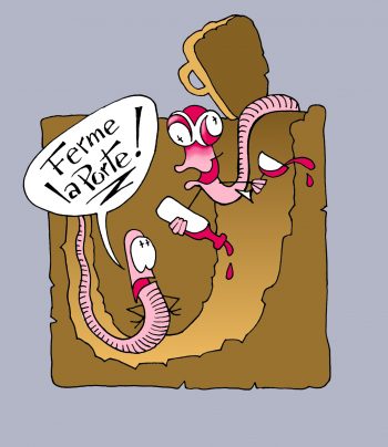 vers de terre