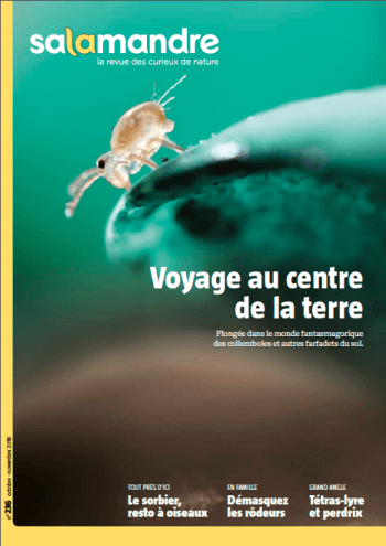 Salamandre 236 Voyage au centre de la terre Salamandre 236 voyage au centre de la terre