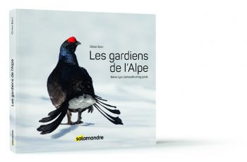 Couverture Gardiens de l'Alpe