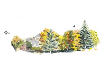 «Ambiance urbaine et calme des vacances scolaires. Une belle lumière valorise les arbres. Au milieu, un grand sorbier de quarante ans aux couleurs châtoyantes.» «Ambiance urbaine et calme des vacances scolaires. Une belle lumière valorise les arbres. Au milieu, un grand sorbier de quarante ans aux couleurs châtoyantes.»