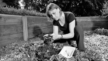 Claire Le Bayon, maître d'enseignement et de recherche au Laboratoire d'écologie fonctionnelle à l'Université de Neuchâtel. 