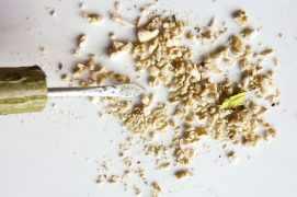 Un bout de bois, une patate et… poum ! On dirait que le sureau a été inventé tout exprès pour nous distraire. Coupez une branche d’environ 1 cm de diamètre, évidez le cœur avec votre pique en ramonant à plusieurs reprises.