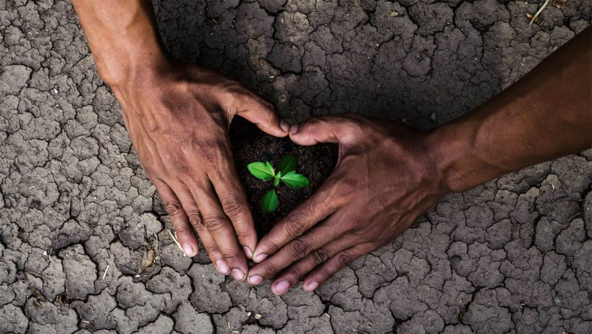 Le sol en 13 chiffres