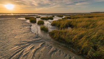 La Baie de Somme à marée basse.