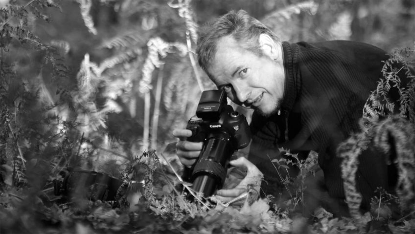 Philippe Lebeaux, un photographe fasciné par les collemboles