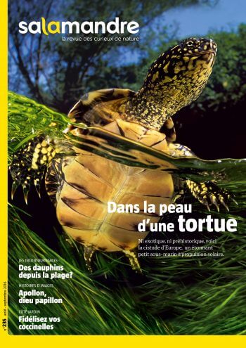 Couverture de La Salamandre n°235