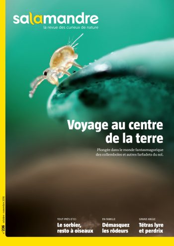 Couverture de La Salamandre n°236