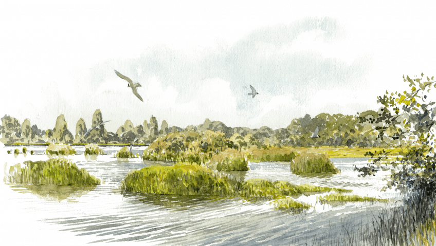 Les étangs de la Brenne