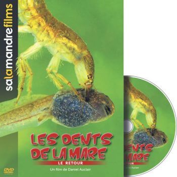 DVD Les dents de la mare