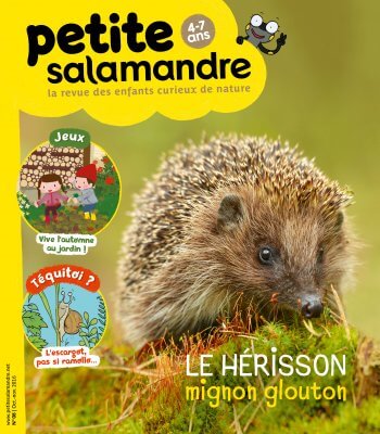 Couverture de La Petite Salamandre n°8