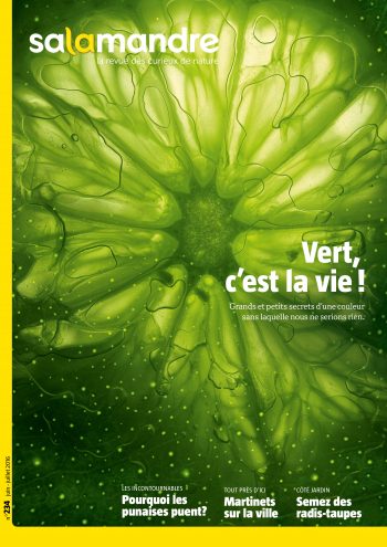 Couverture de La Salamandre n°234