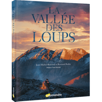 La vallée des loups le livre