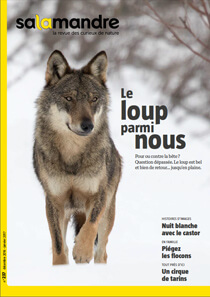Couverture La Salamandre n°237 Le loup parmi nous