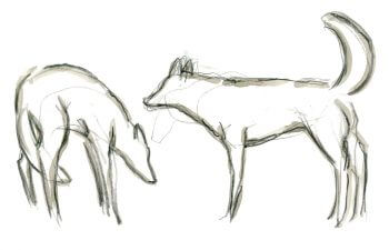 Attitude de soumission / © Tsunehiko Kuwabara