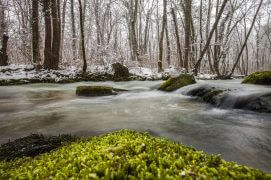 Berge d'un cours d'eau / © Patricia Huguenin et Audrey Margand