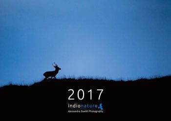 Un calendrier sur la nature merveilleuse