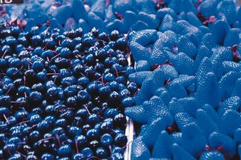 Cerises fraises rouges bleu