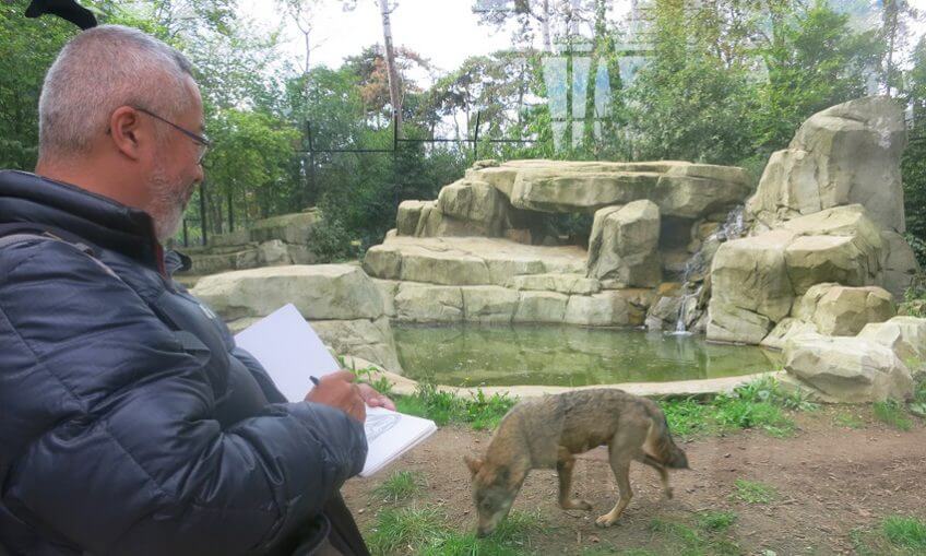 Coulisse du dossier loup à Paris avec Tsunéhiko Kuwabara, dessin nature Kuwabara loup Paris