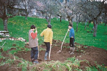 Début de la construction d'un étang. Photos datant de 1998. Début de la construction d'un étang mare 1998.