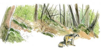 «Des heures durant, ils se tournèrent autour.» / © Tsunehiko Kuwabara