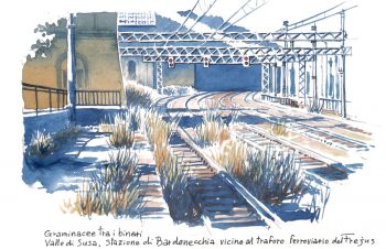 Végétation des rails