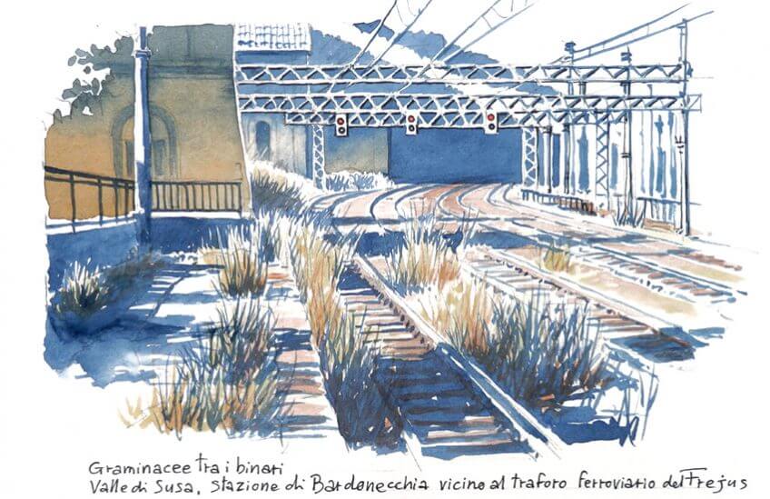 Fleurs de voie ferrée Lorenzo Dotti