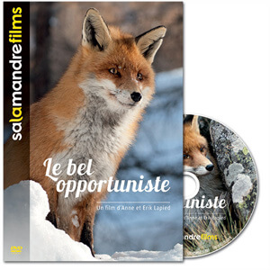 Le bel opportuniste Ménigoute