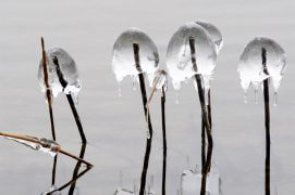 Givre / © Patricia Huguenin et Audrey Margand