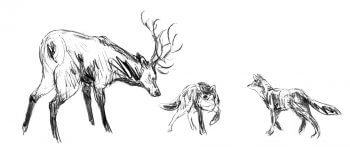 Le clan face à un cerf / © Tsunehiko Kuwabara