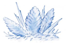 Le givre apparaît après une série de nuits froides et calmes. Il est souvent associé à une source d'humidité 
(brouillard, rivière ou lac). / © Dessins Rose Gigon ( Météorisk/Le vent des cimes)