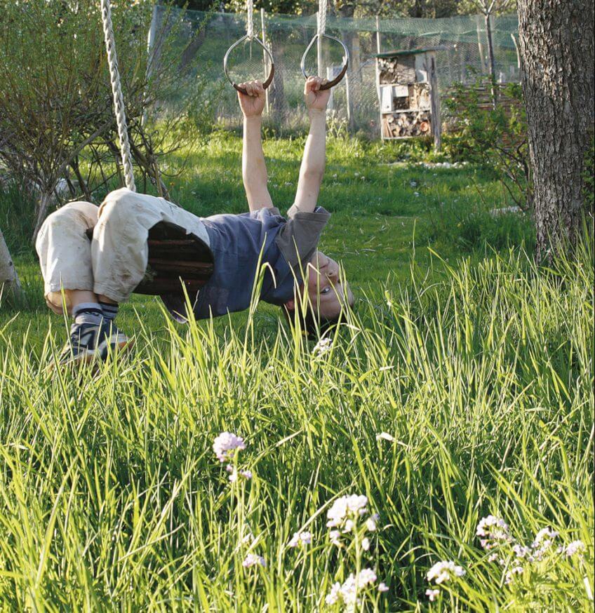 cardamine pissenlit printemps enfant balançoire